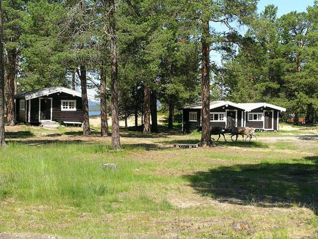 Femundtunet Drevsjø Buitenkant foto