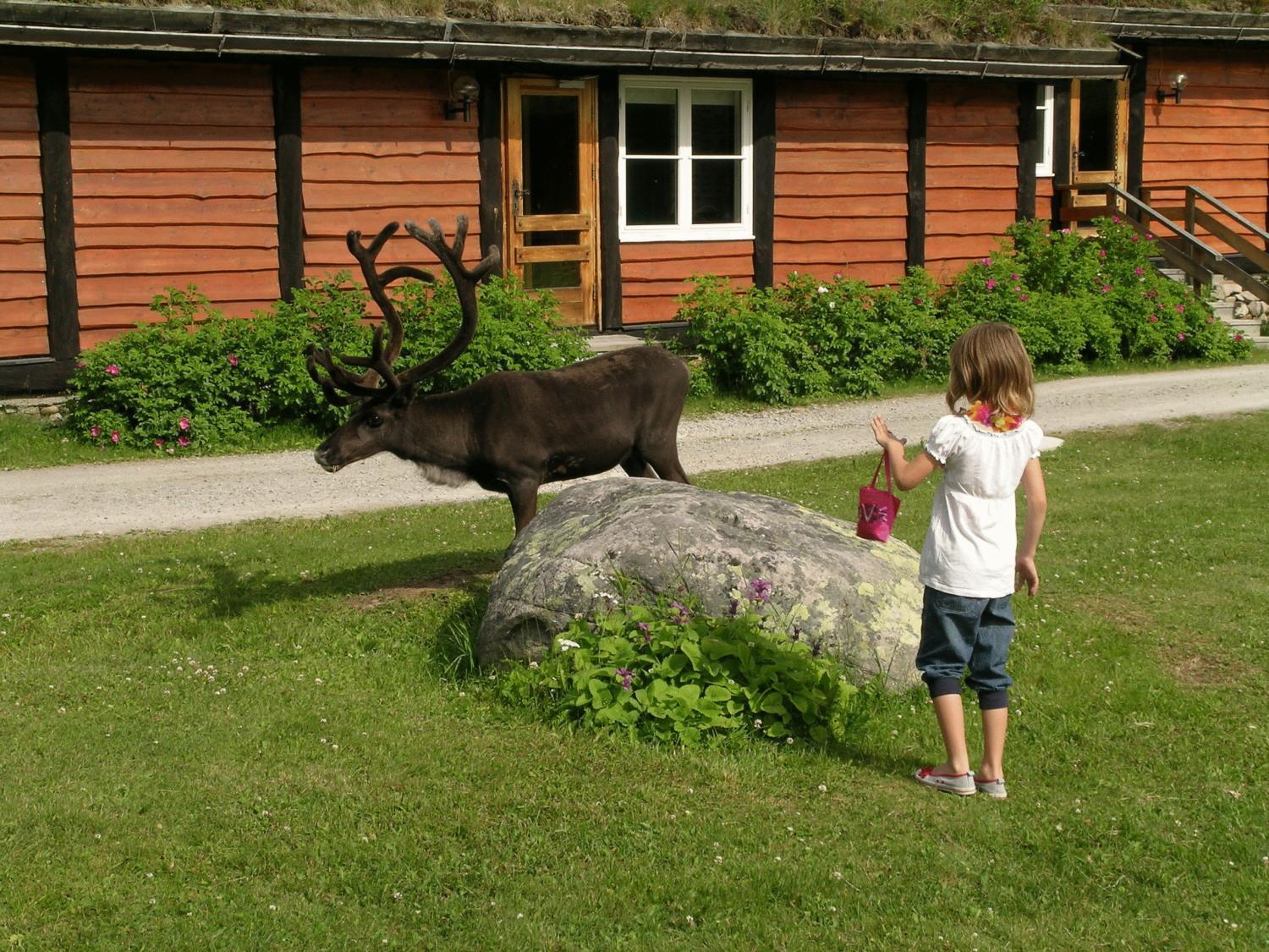 Femundtunet Drevsjø Buitenkant foto